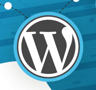 wordpress_development-services-by-professional-company
